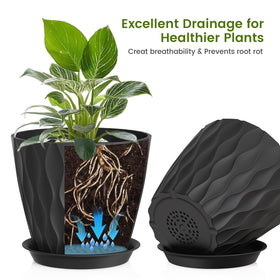 UOUZ indoor-outdoor plant pots fit monstera and fiddle-leaf fig beautifully.