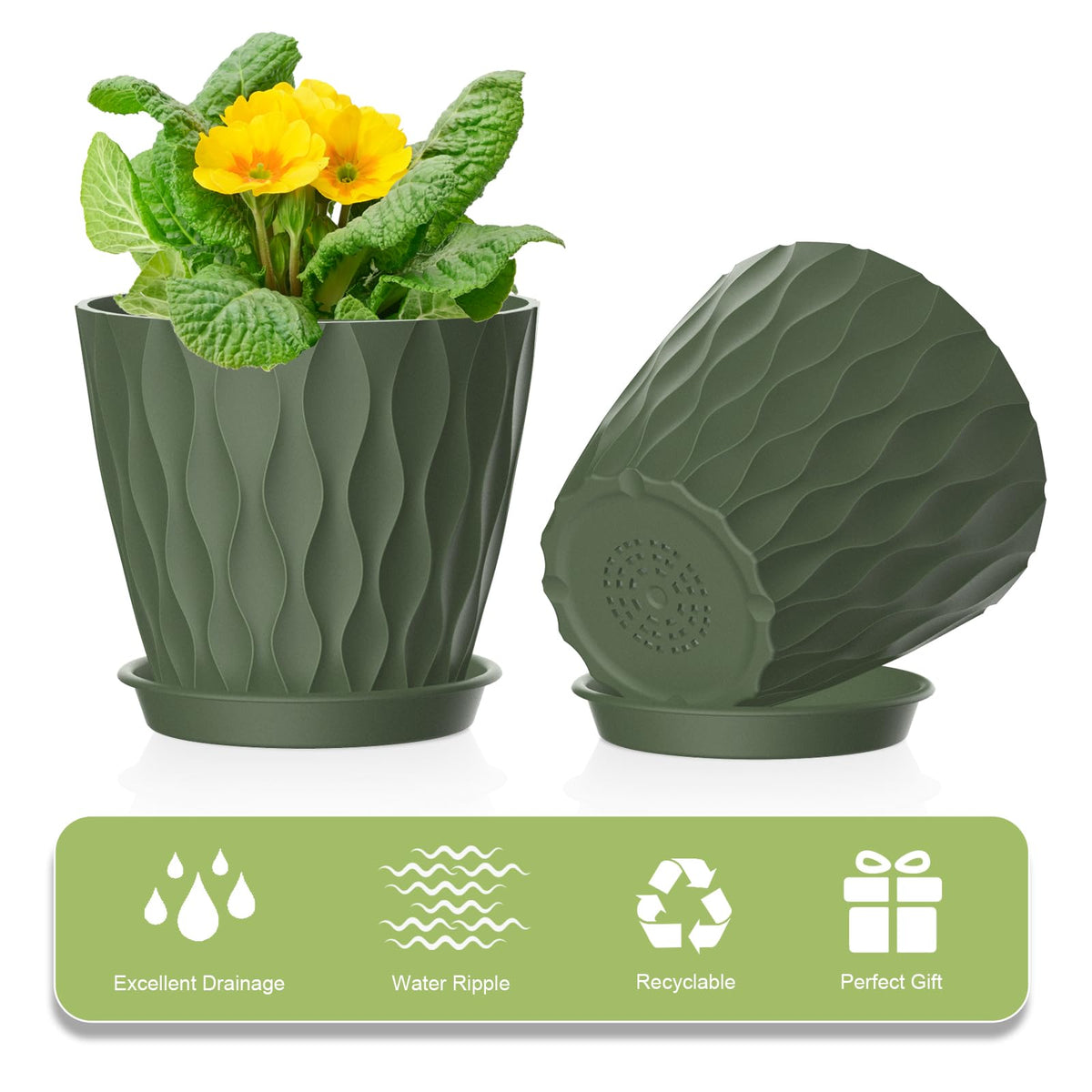 UOUZ indoor/outdoor use pots with removable saucers included for maintenance.