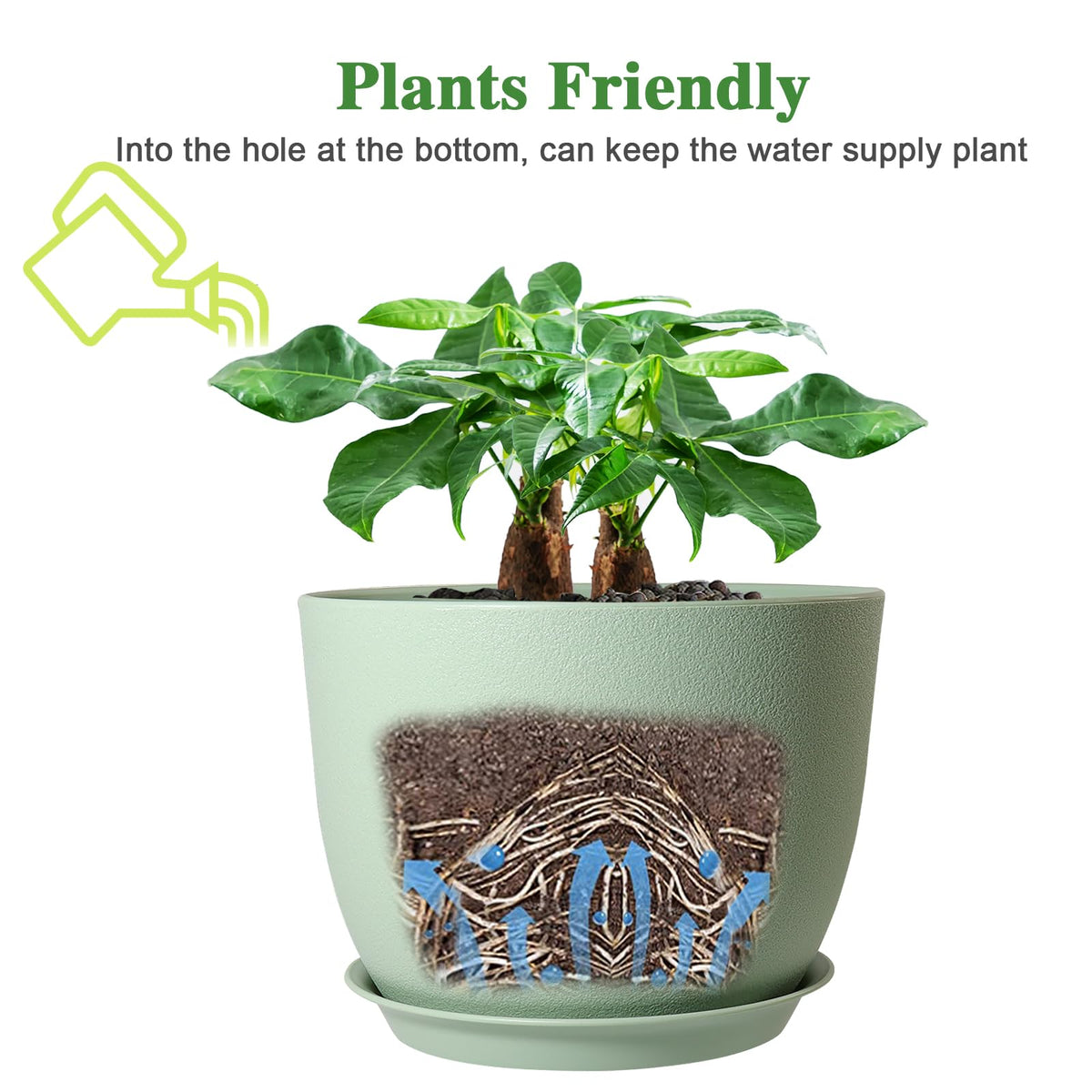 UOUZ large indoor pot designed for big plants like fiddle-leaf fig.