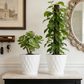 UOUZ minimalist design pot ideal for living rooms and balconies.