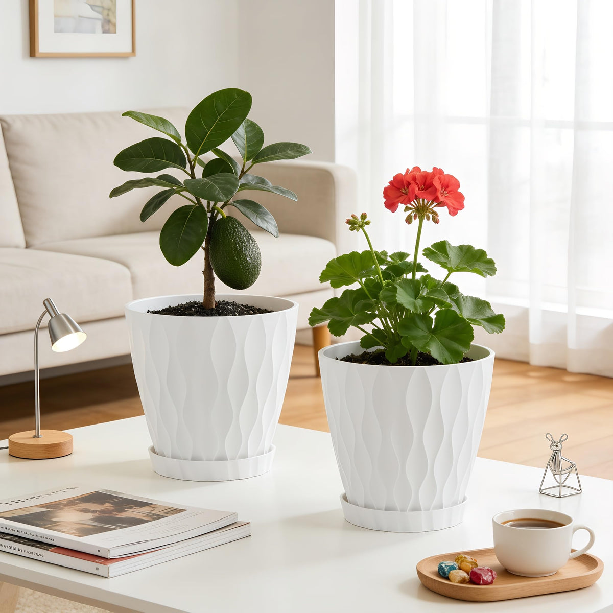 UOUZ Monstera and Fiddle Leaf Fig-friendly pot for healthy root growth.