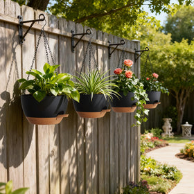 UOUZ compatible with pothos ivy and ferns for lush displays.