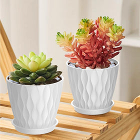 UOUZ 4-inch pots promote healthy root air flow and drainage.