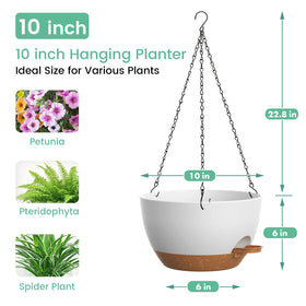 UOUZ self-watering planter side refill opening supports easy watering.
