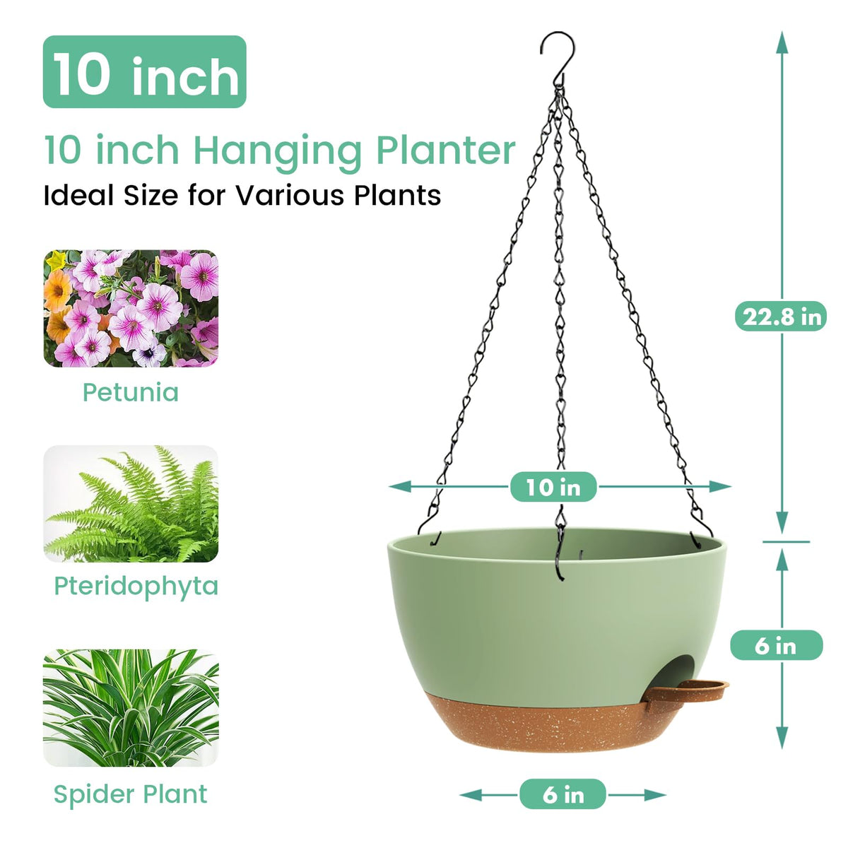 UOUZ planter featuring base drainage system to support healthy roots.