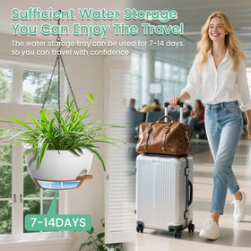 UOUZ versatile planters for ivy, pothos, ferns, indoors and outdoors.