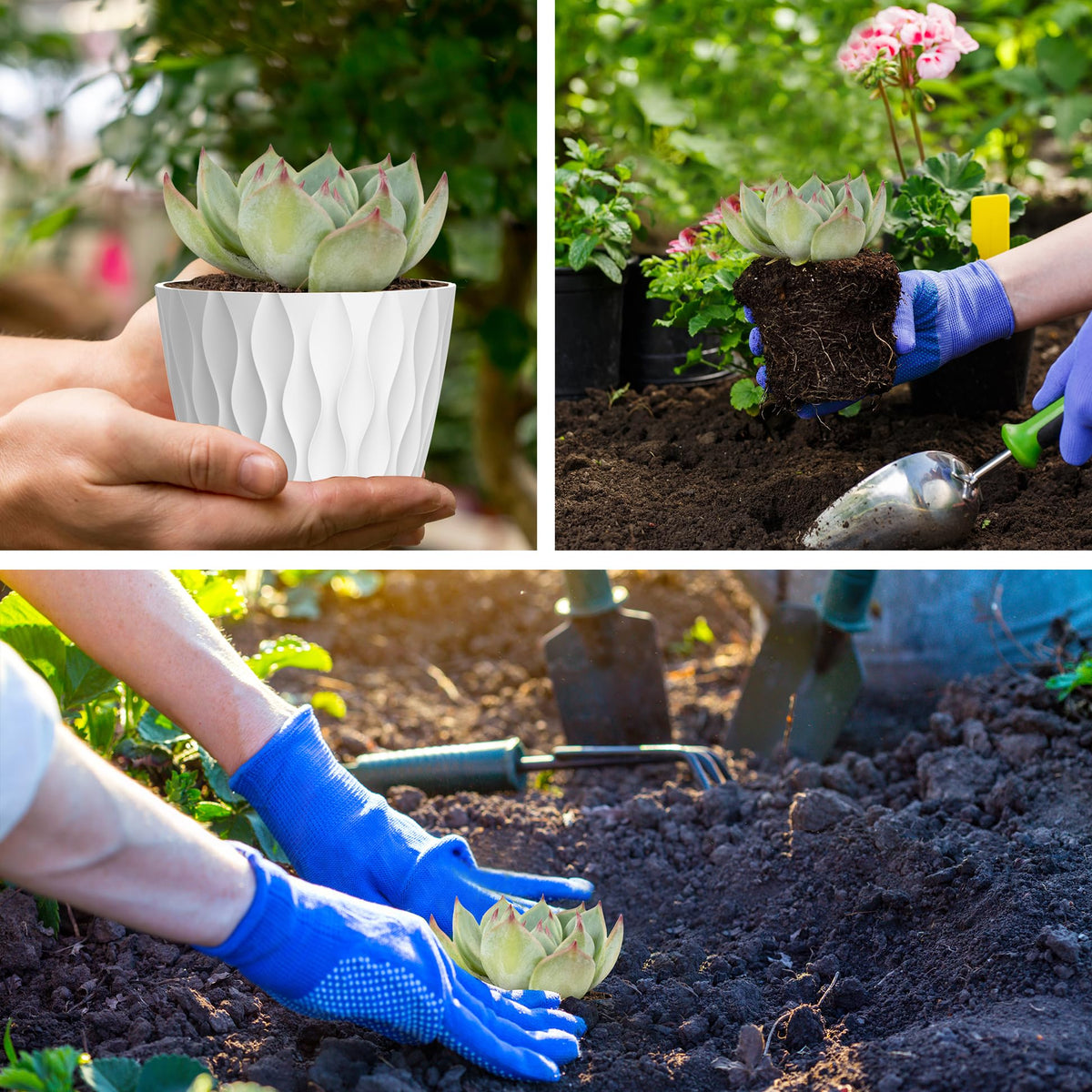 UOUZ white waffle pots blend with décor while growing herbs.