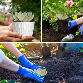 UOUZ white waffle pots blend with décor while growing herbs.