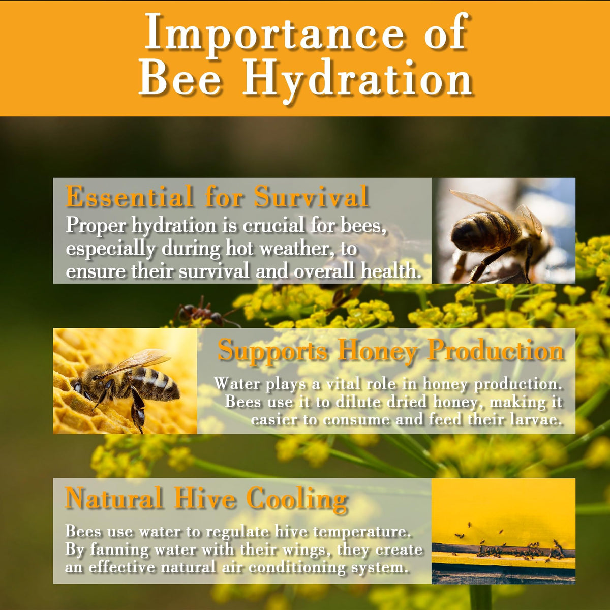 UPATTHUB 7.87 inch bee water cup diameter floating platform