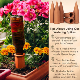 Bottle-to-spike setup demonstrates easy waste-reducing watering solution.