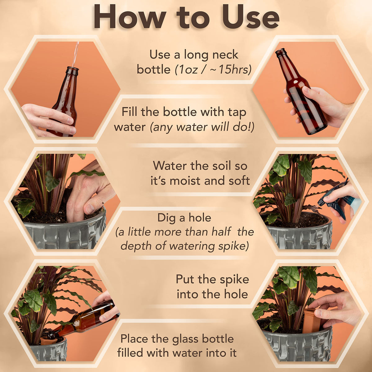 Terracotta spikes help outdoor plants stay hydrated during trips.
