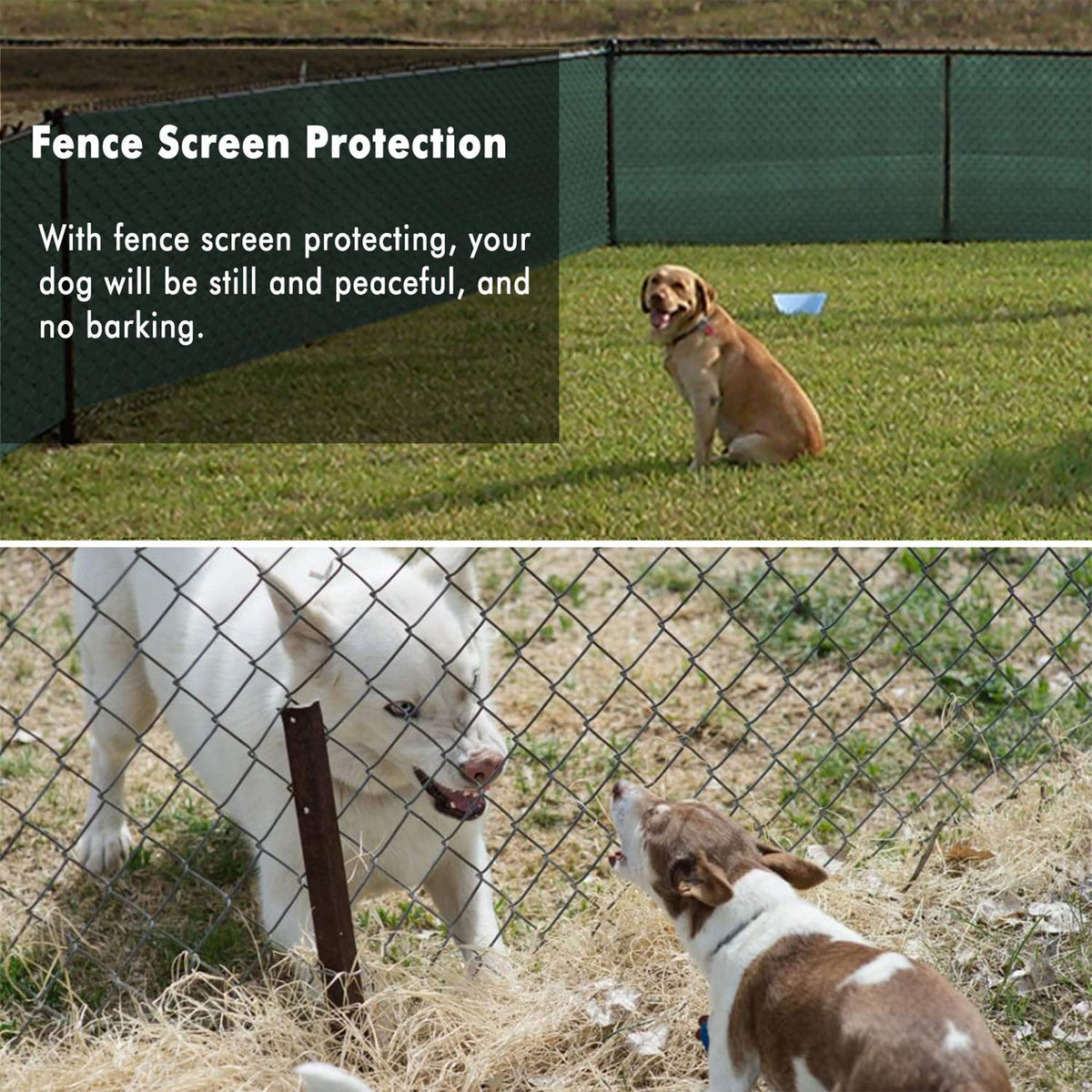 UPGRADE privacy screen helps reduce wind exposure and calm pets outdoors.