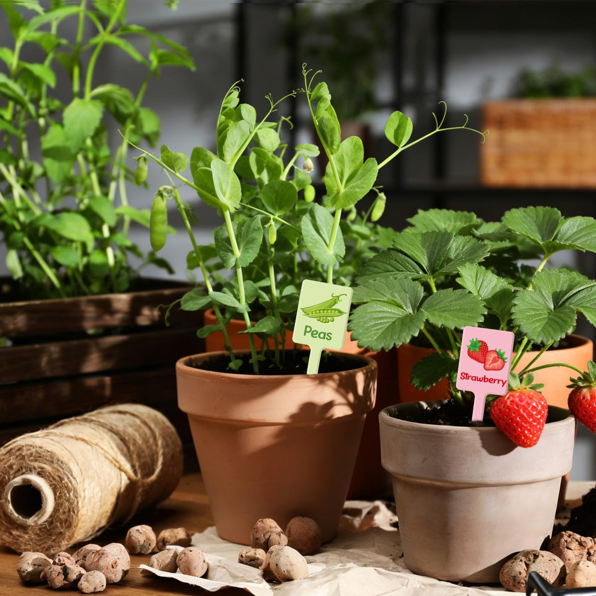 UPINS clearly printed vegetable names help quick identification in beds.