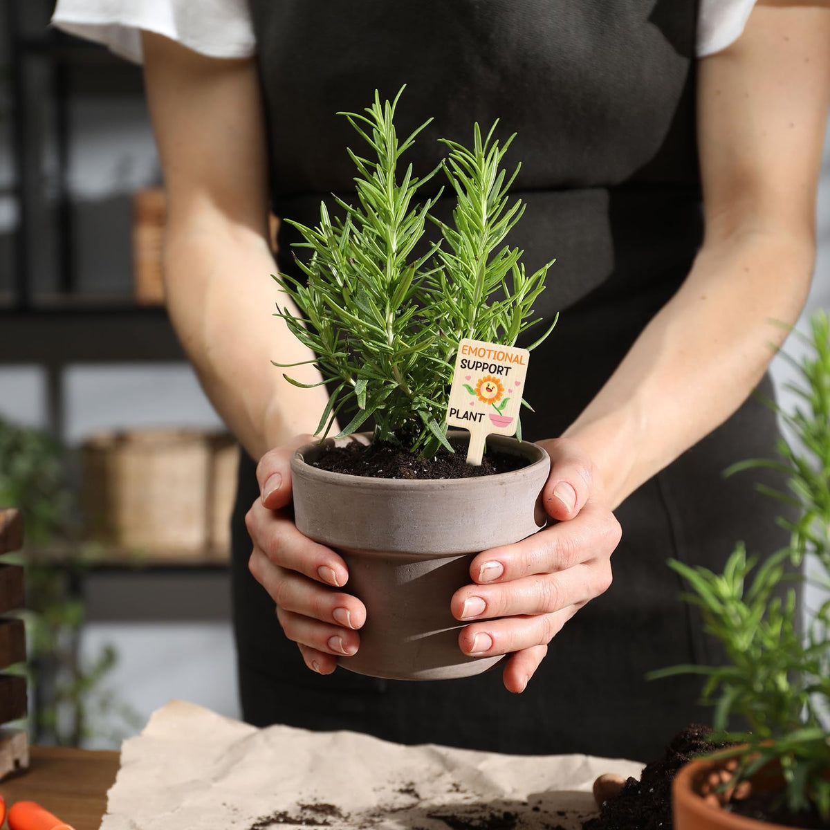 UPINS giftable plant labels set makes a thoughtful present for garden lovers