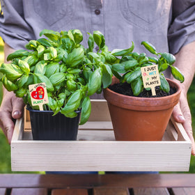 UPINS indoor/outdoor garden labels simplify plant management with easy-to-read marks