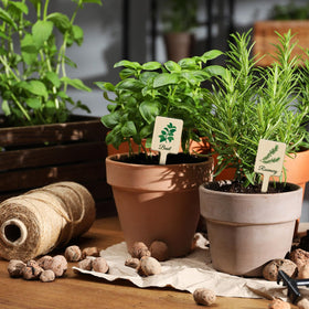 UPINS indoor-outdoor garden markers help keep seedlings and herbs organized.