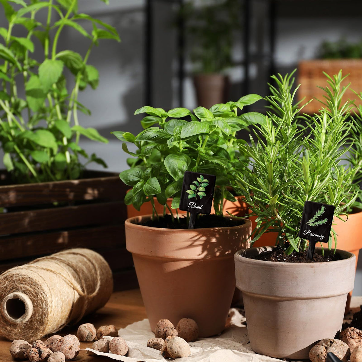 UPINS T-shaped plant markers easily insert into soil for stable labeling.