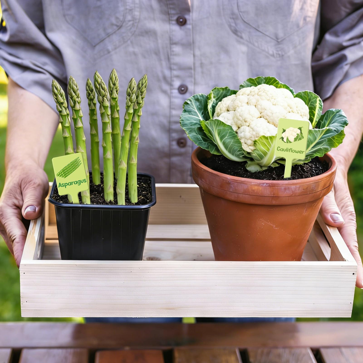 UPINS T-shaped plant tags insert easily for stable garden labeling.