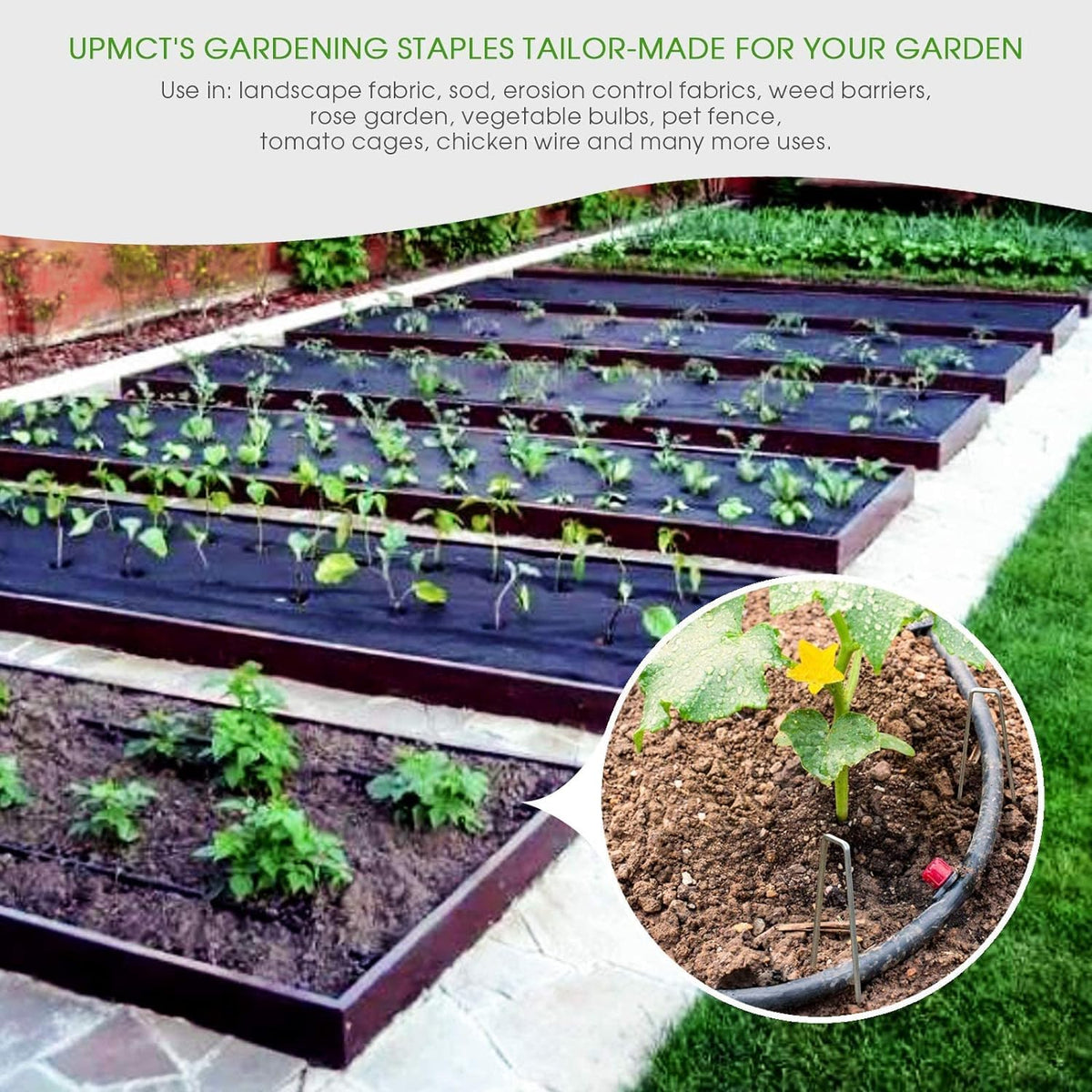 UPMCT stake anchors a pet fence to define garden boundaries.