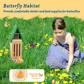 UQM garden decor that doubles as a butterfly observation spot.