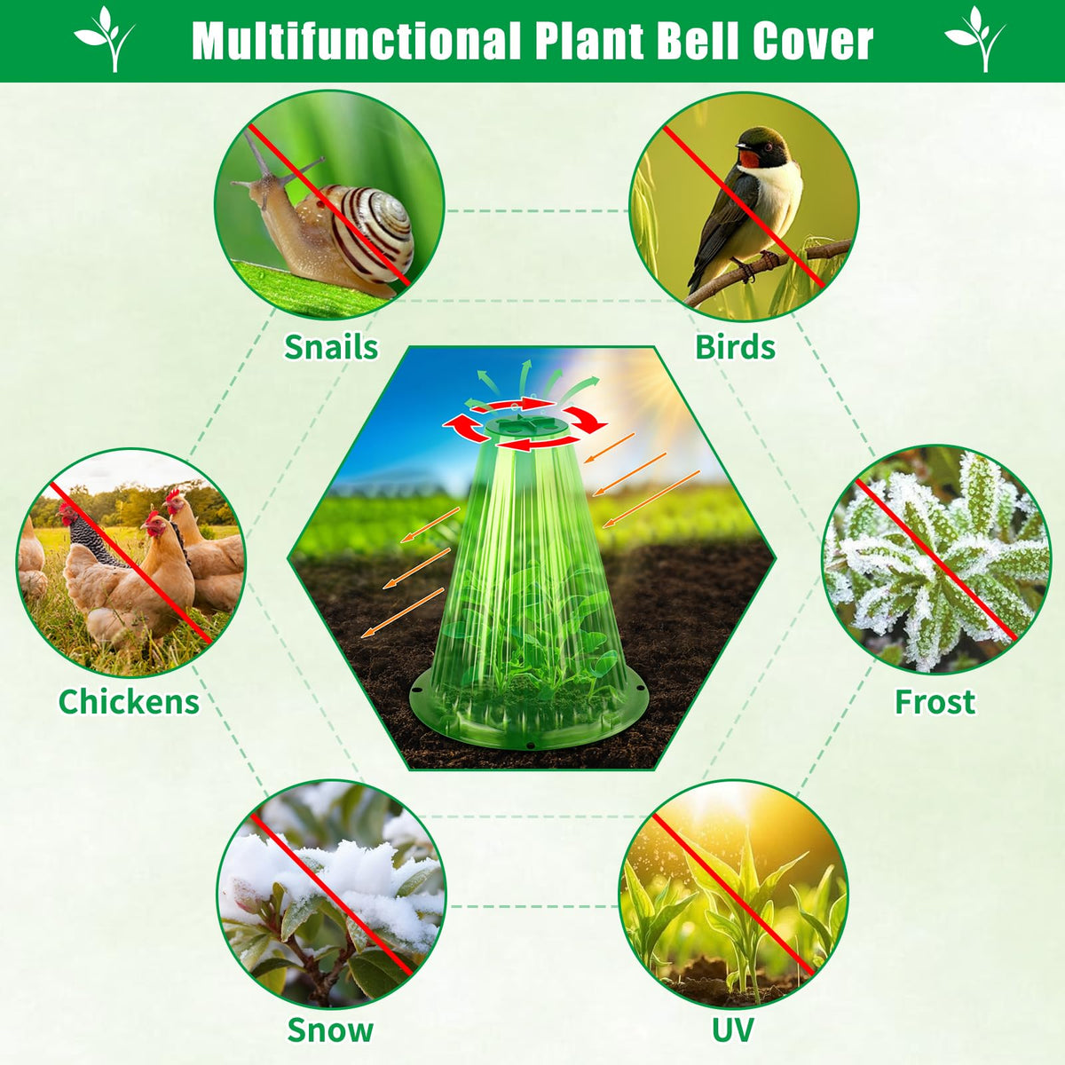 UQM mini greenhouse cloche creates a sheltered microclimate for plants.