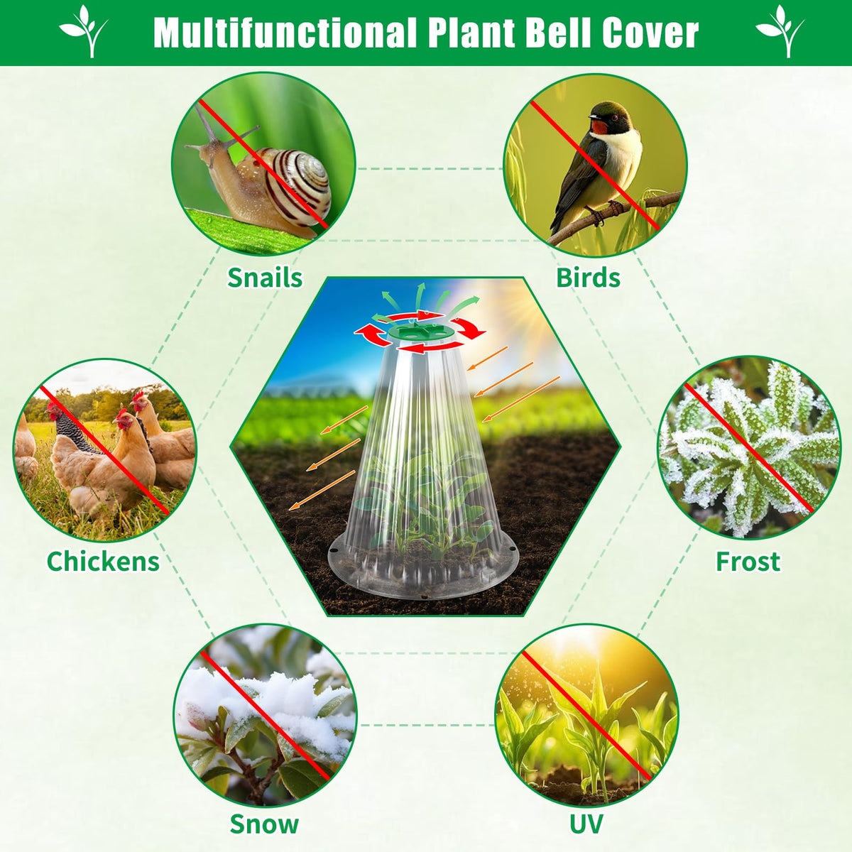 UQM protection from snails and birds helps preserve seeds