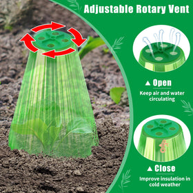 Green transparent UQM cloche provides strong light transmission for plants.