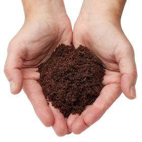 Urban Worm coco coir for composting toilets and soil texture