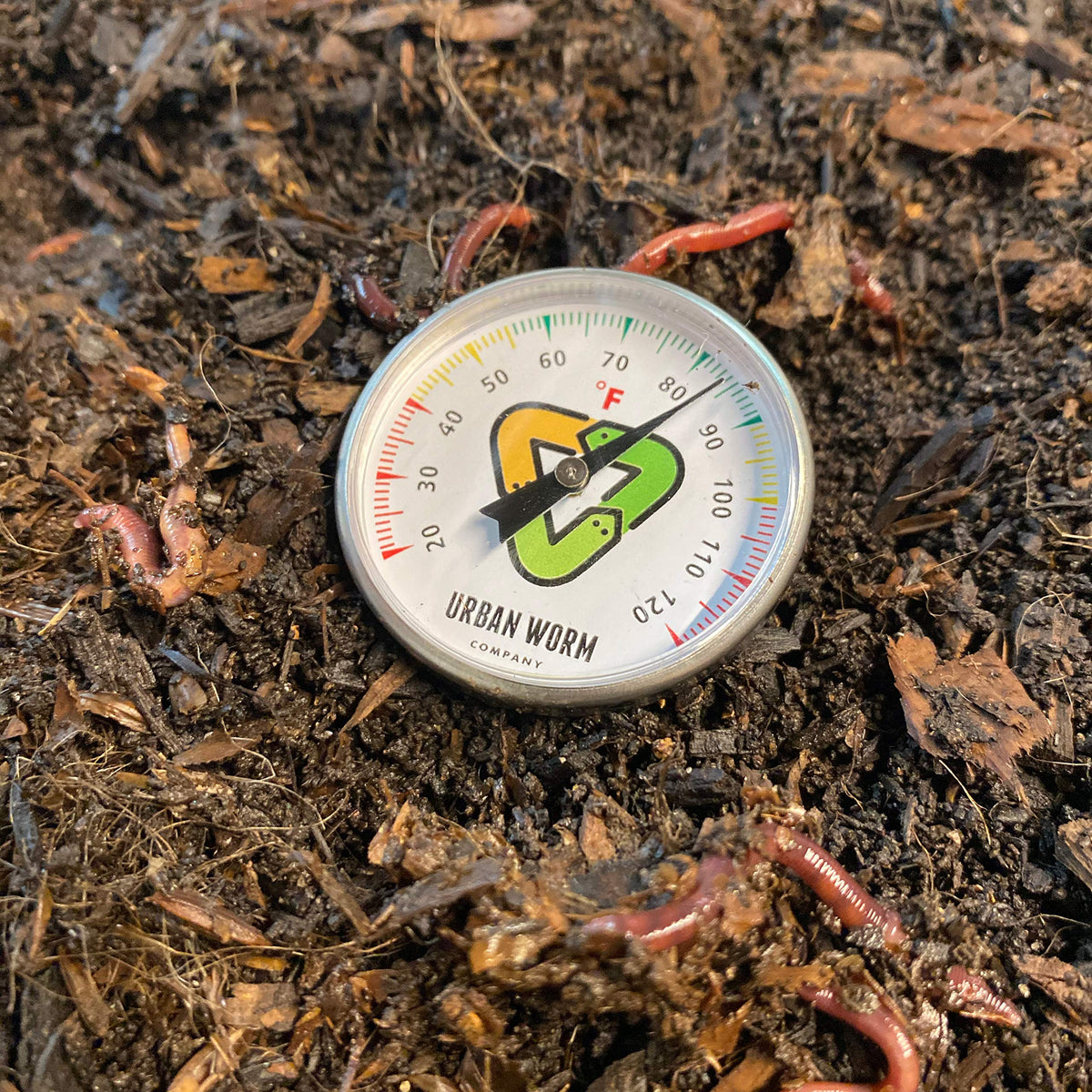 Urban Worm thermometer demonstrates temperature readiness for worm bin adjustments.