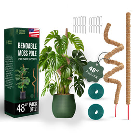 Urban Gloom bendable moss pole supports climbing Monstera for vertical indoor growth