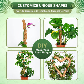 Urban Gloom indoor plant trellis kit reinforces sturdy growth