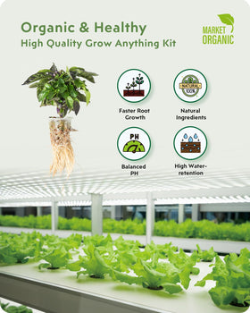 URUQ grow sponges provide mineral-rich root support for healthy growth.