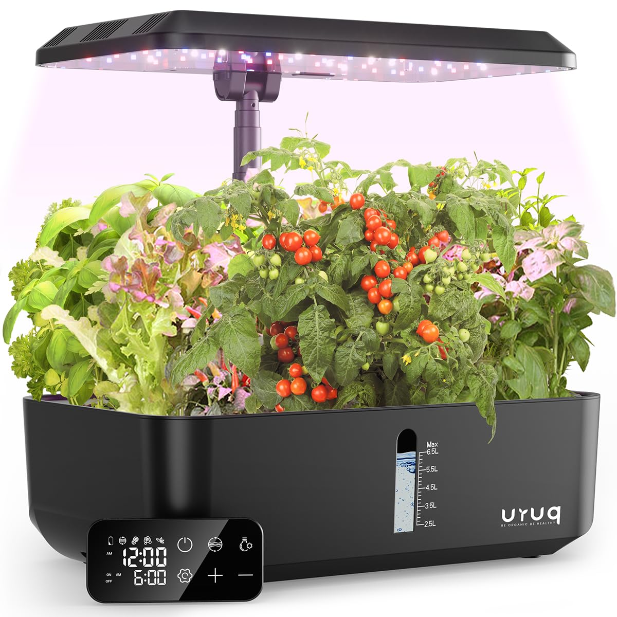 URUQ Hydroponics 12pods system enables year-round herb harvests in a compact home garden.