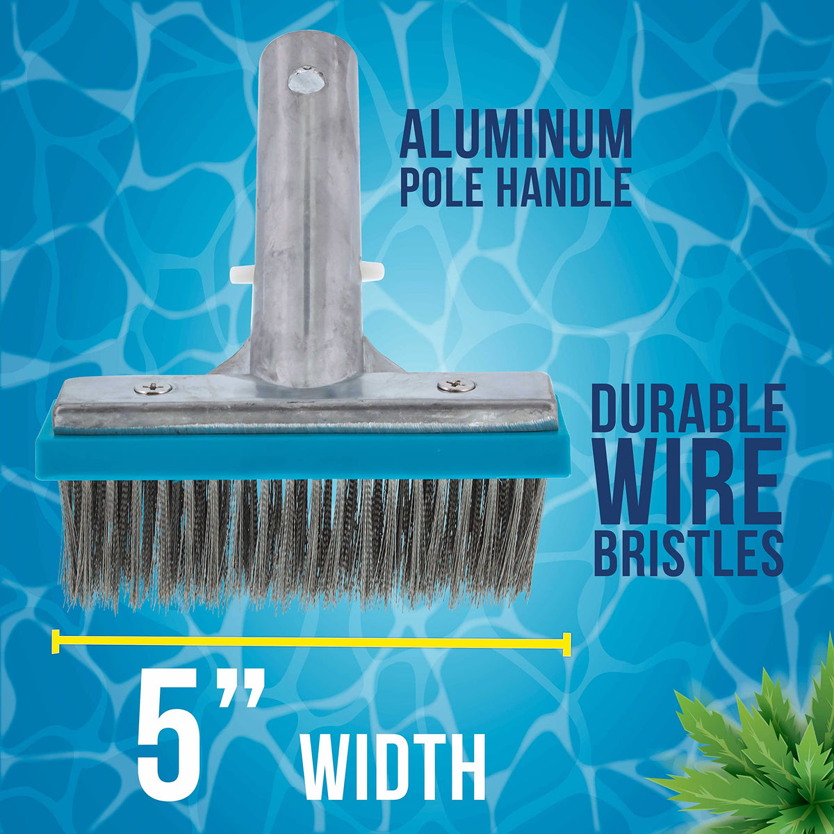 Brush head scrubbing tiles and grout in pool setting.