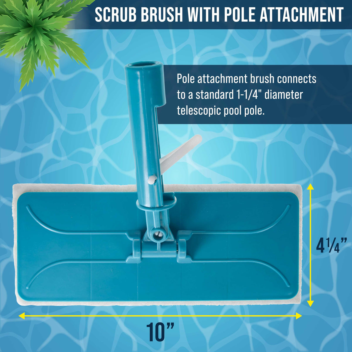 U.S. Pool Supply kitchen and bathroom scrubbing pad for hard-to-remove stains.