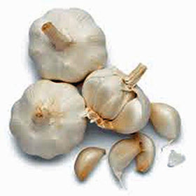 USBB garden-ready garlic perfect for braiding and storage.
