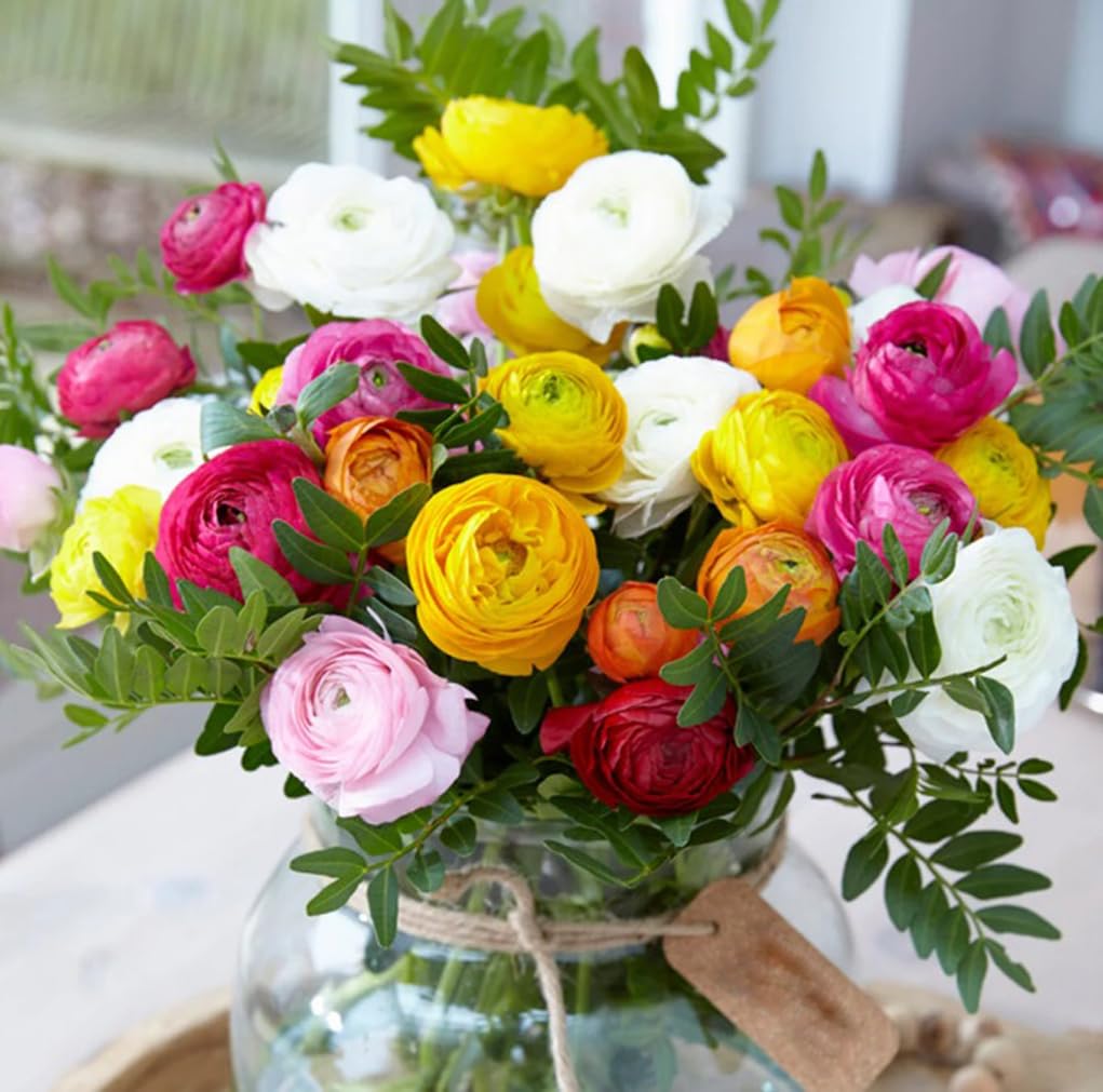 USBRANDSEED ranunculus bulbs from a mixed color collection for outdoor weddings.