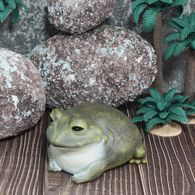 USEAMIE spare key hider frog front view shows cute stripes for garden charm.