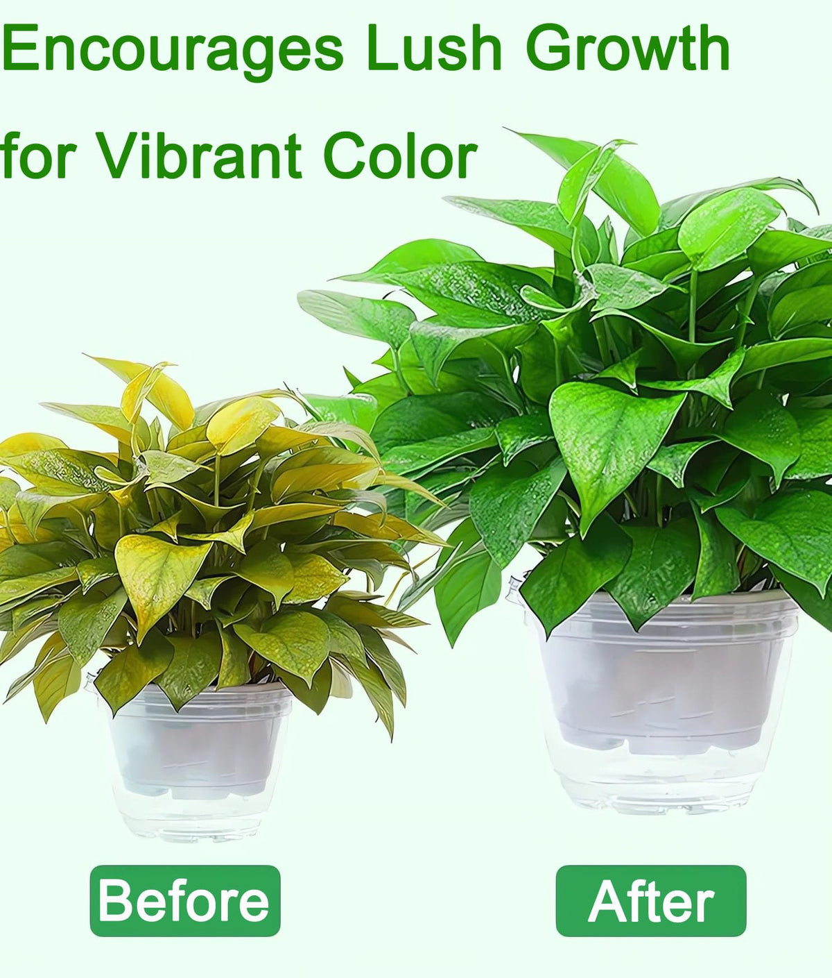 Usedgdig Urea fertilizer applied in garden demonstrating greener foliage.