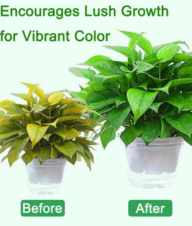 Usedgdig Urea fertilizer applied in garden demonstrating greener foliage.