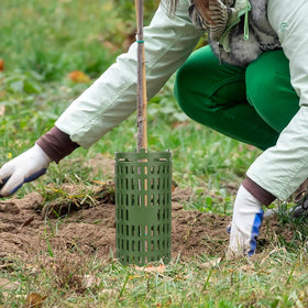USEDGDIG ventilated tree wrap allows airflow for healthier growth.