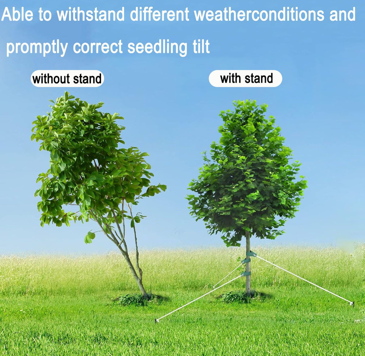 USEDGDIG universal kit suits orchards, gardens, and camping for reliable support.