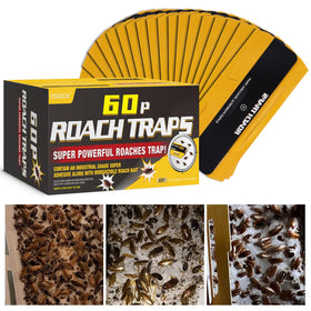 USKICH 60-pack roach traps packaging shows discreet, long-lasting indoor solution