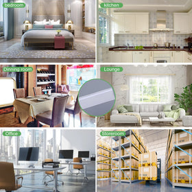 USKICH eco-friendly fly traps offering economical home pest management.