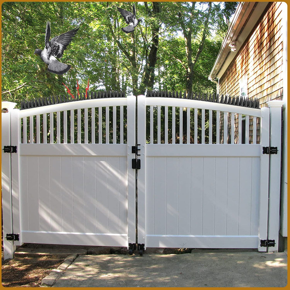 USKICH bird spikes ideal for fences, roofs, docks and ledges.