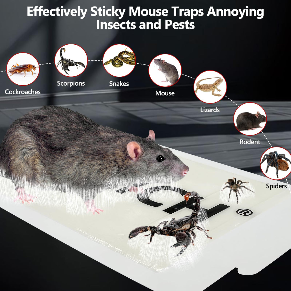 USKICH pesticide-free traps offer safe use around homes and businesses.
