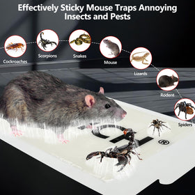 USKICH pesticide-free traps offer safe use around homes and businesses.