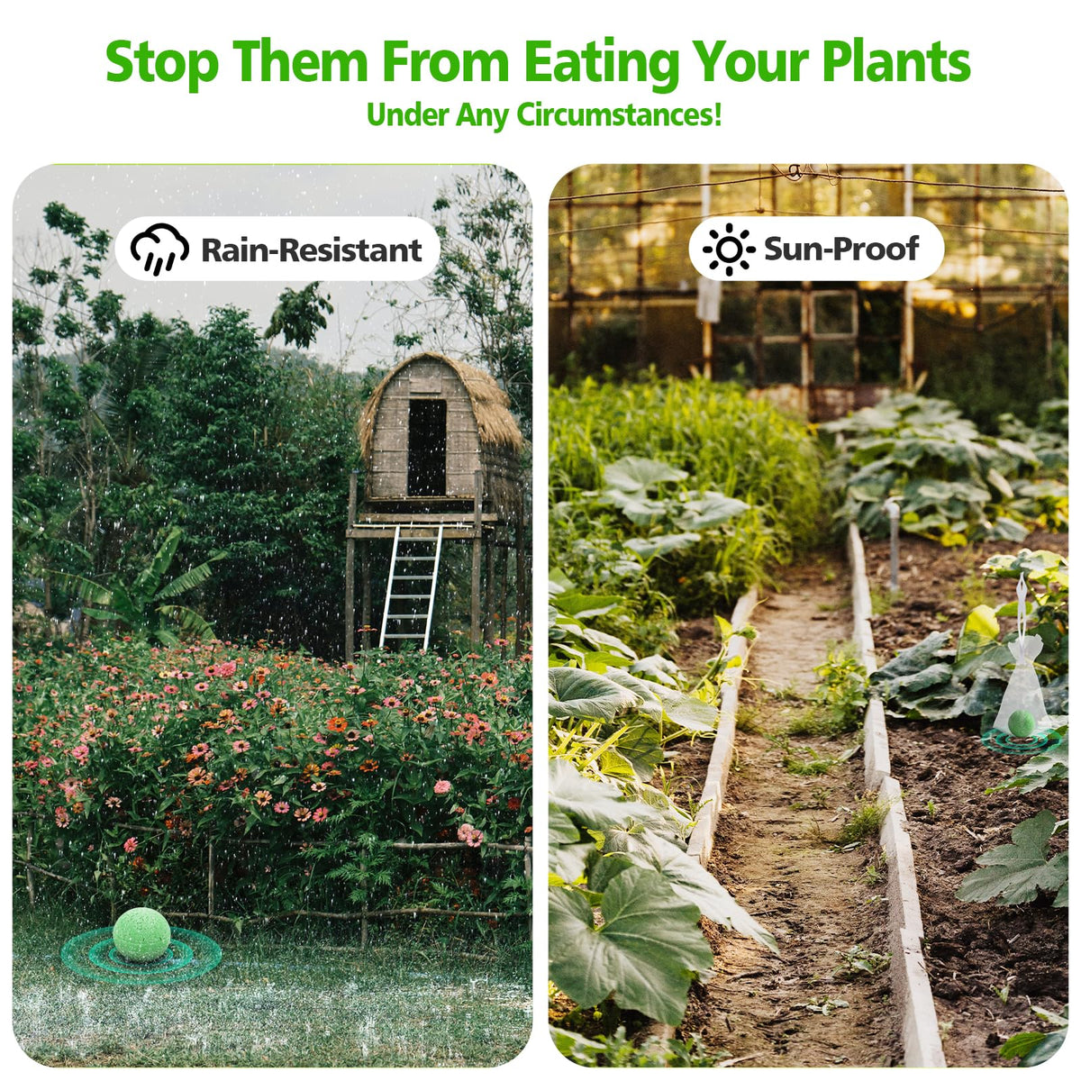 USKICH deer and rabbit repellent creates a protective barrier for vegetables.