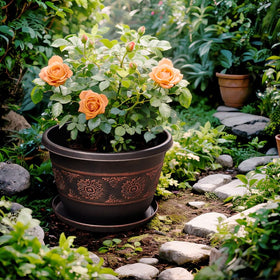 Usocik 10-inch pot ideal for vegetables, herbs, and flowers in different settings.