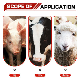 USUNFARM easy-clean calf bottle with detachable nipple and lid for fast sanitation.